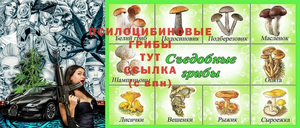 метадон Беломорск