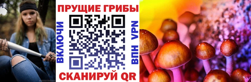 Галлюциногенные грибы прущие грибы  Вельск 